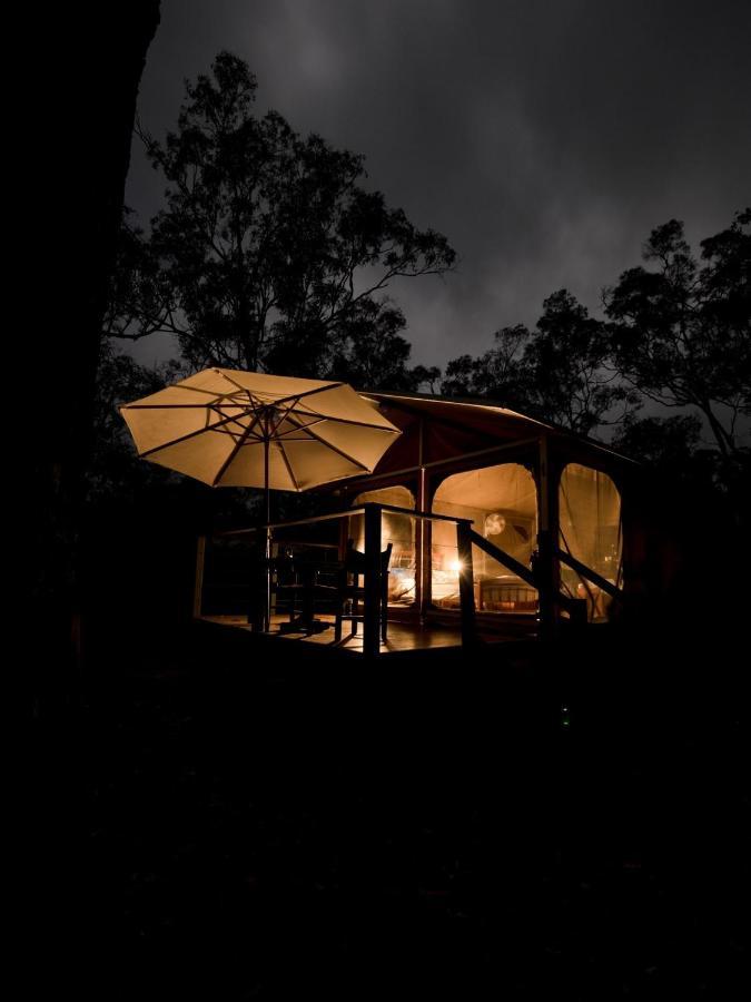 Wild Nature Lodge, Mareeba Wetlands Luxury tent *