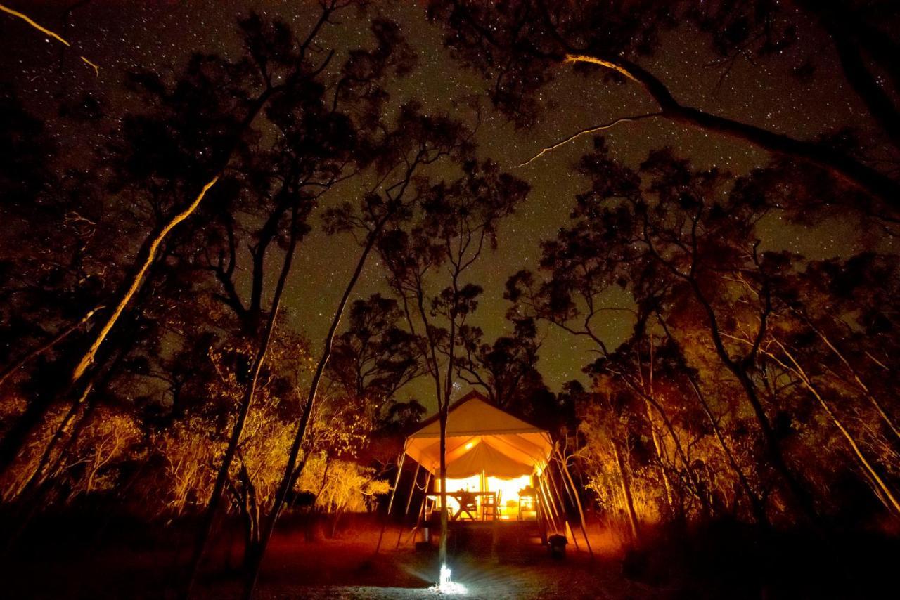 Wild Nature Lodge, Mareeba Wetlands *