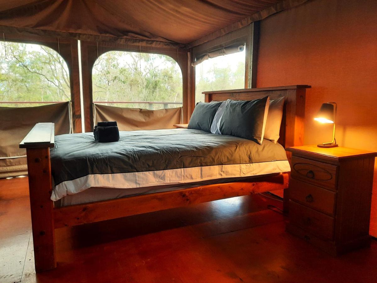 Wild Nature Lodge, Mareeba Wetlands * Biboohra