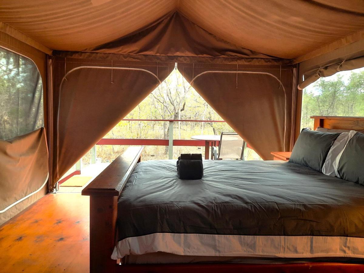 Wild Nature Lodge, Mareeba Wetlands Luxury tent