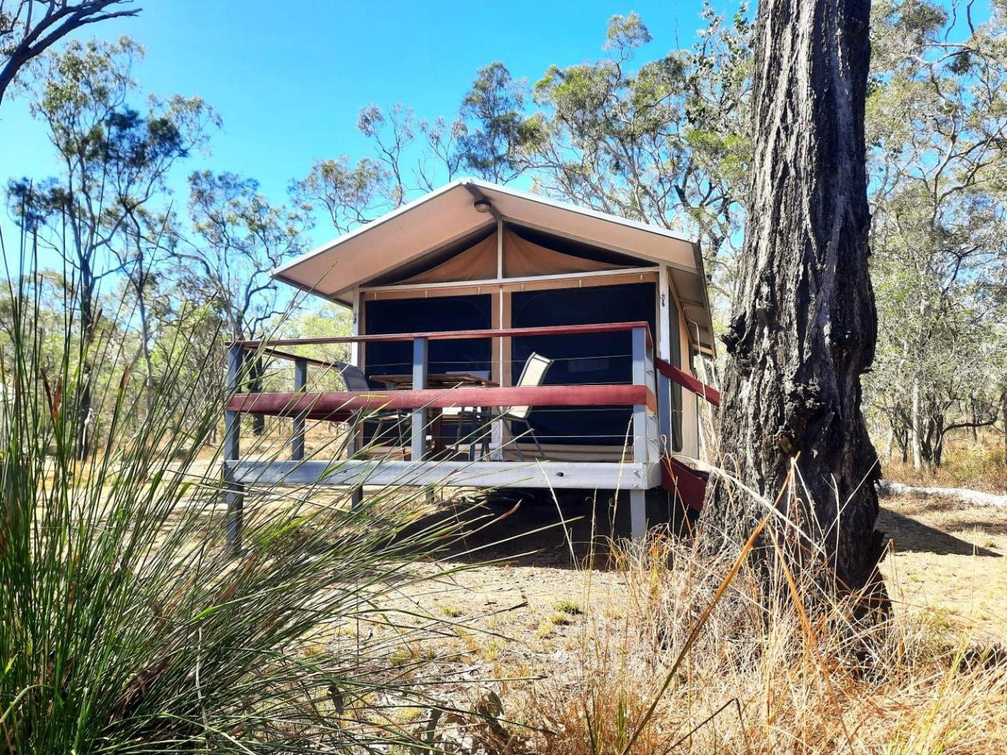 Wild Nature Lodge, Mareeba Wetlands Luxury tent *