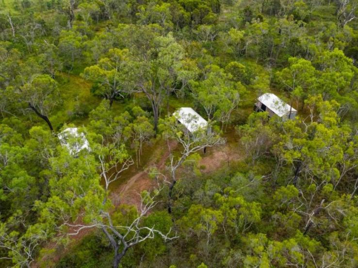 Luxury tent Wild Nature Lodge, Mareeba Wetlands